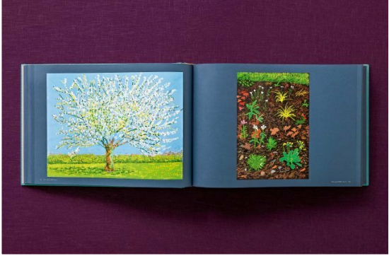 David Hockney 220 for 2020: edition of 1620 books, numbered and stamped