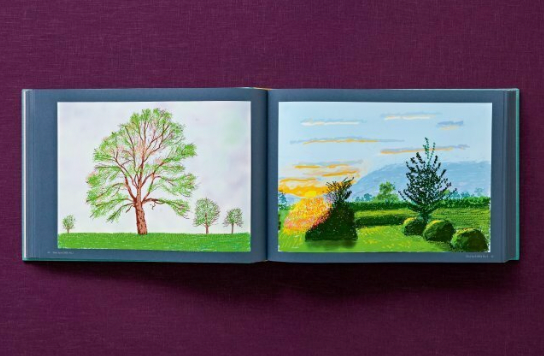 David Hockney 220 for 2020: edition of 1620 books, numbered and stamped