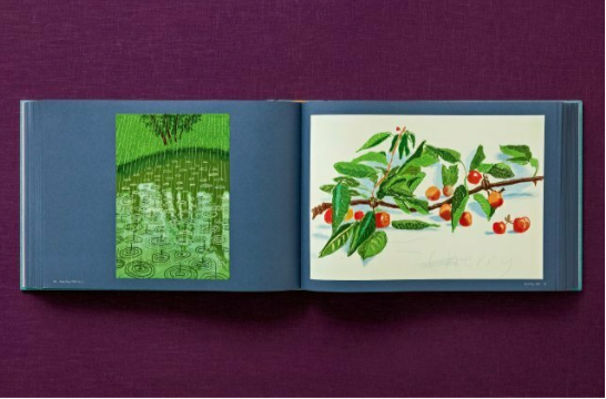 David Hockney 220 for 2020: edition of 1620 books, numbered and stamped