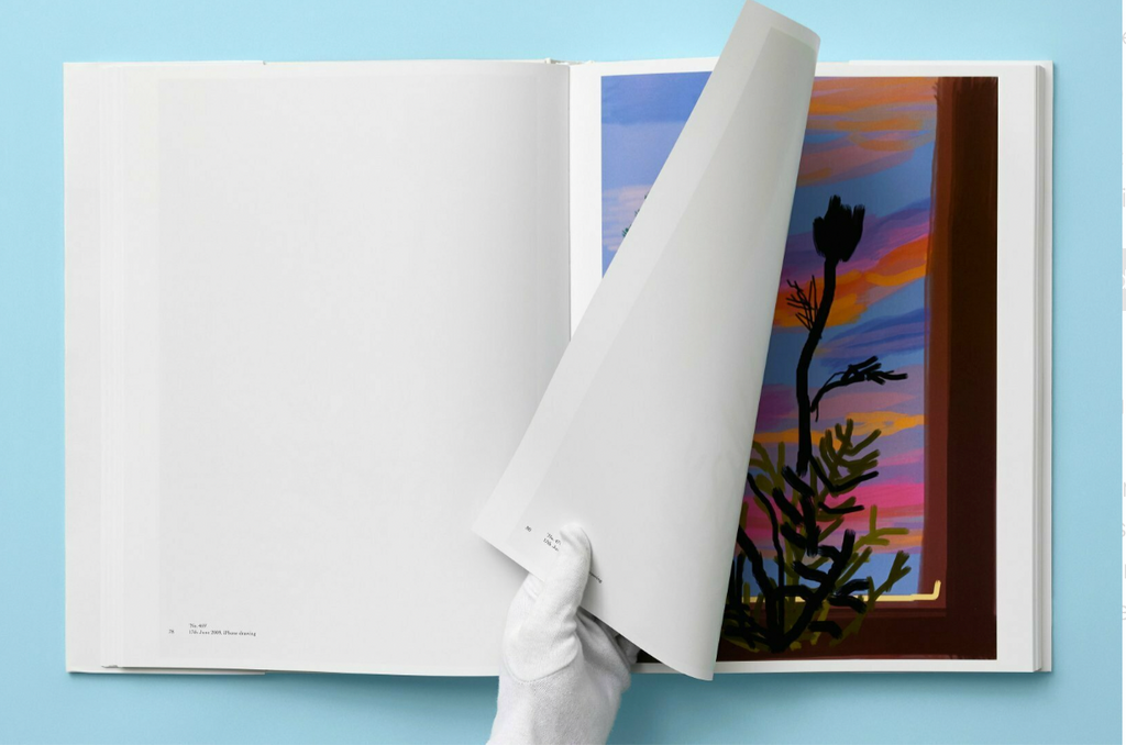 My Window by David Hockney, XL format