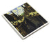 Colour Postcard Pack (x11) by Simon Palmer
