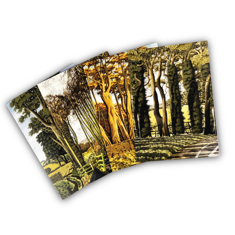 Simon Palmer Greetings Cards - Pack of 4 different designs (exclusive)