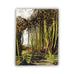 Simon Palmer Greetings Cards - Pack of 4 different designs (exclusive)