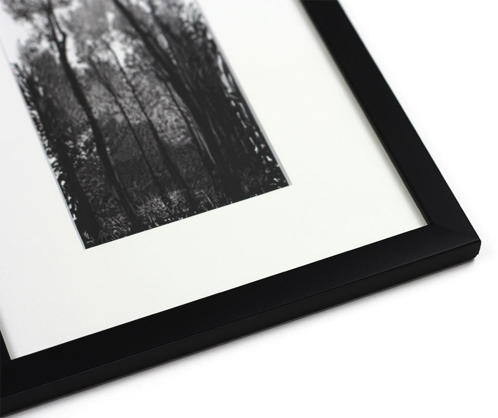 Tall Black Trees (Mini-Frame) print by David Hockney