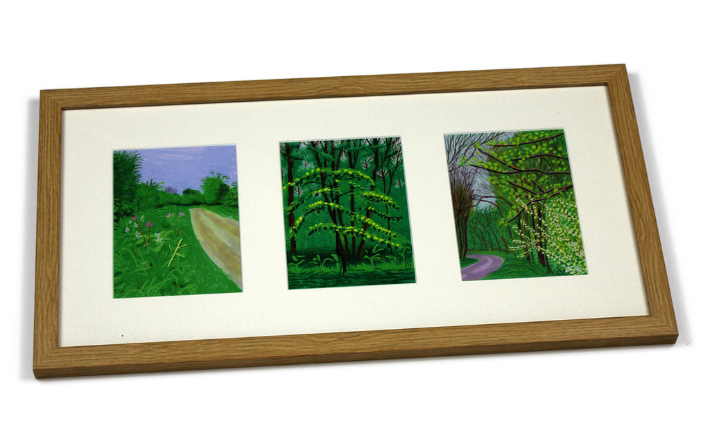 Postcard Frame (3 images / Landscape)