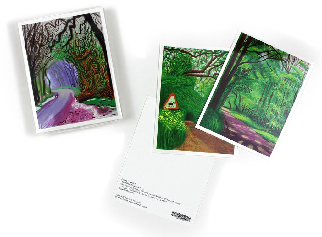 The Arrival of Spring Postcard Pack (x49) by David Hockney