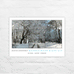 Woldgate Woods, Winter, 2010 postcards by David Hockney - pack of 6