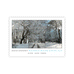 Woldgate Woods, Winter, 2010 postcards by David Hockney - pack of 6