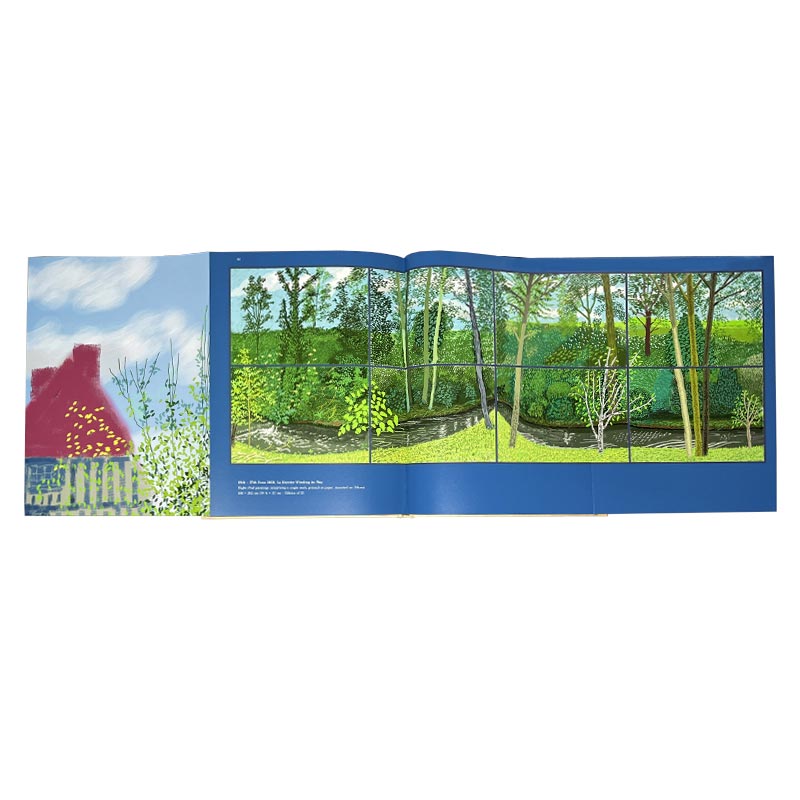 20 Flowers and Some Bigger Pictures Catalogue by David Hockney - designed by David Hockney, 1st edition hardback