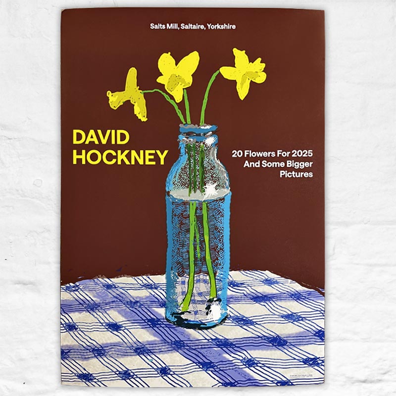 Three Daffodils in a Bottle Poster by David Hockney