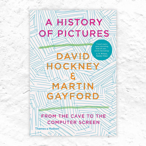 A History of Pictures - From the Cave to the Computer Screen (paperback)