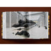 Ai Weiwei - Updated Edition