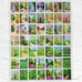 The Arrival of Spring: Complete Postcard Collection (49 cards) by David Hockney