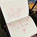 The Insomnia Drawings by Louise Bourgeois - limited special edition