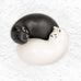 'Purrfect' Salt & Pepper Shakers, des. Mone Misawa for Kikkerland