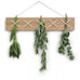 Criss Cross Herb Dryer - Oak - by Side by Side