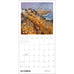 Scotland: The Art of Deborah Phillips Wall Calendar 2027