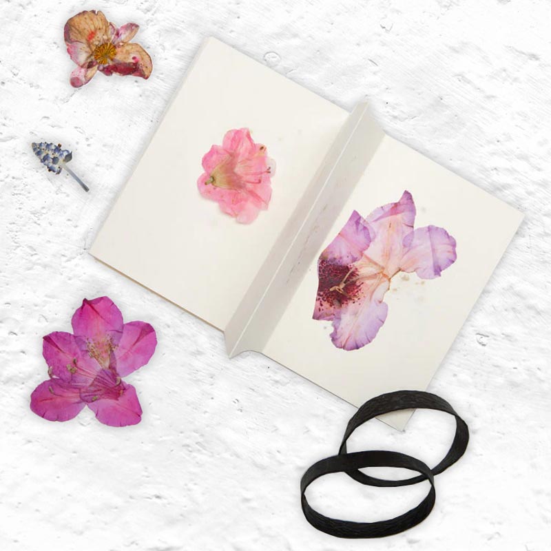 Field Flower Press, by Kikkerland