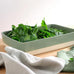 Grande Al Forno Baking Dish - Sage - 28 x 20 cm - by ASA