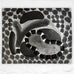 David's Pool at Night by Howard Hodgkin - softground etching and aquatint, signed Artist's Proof