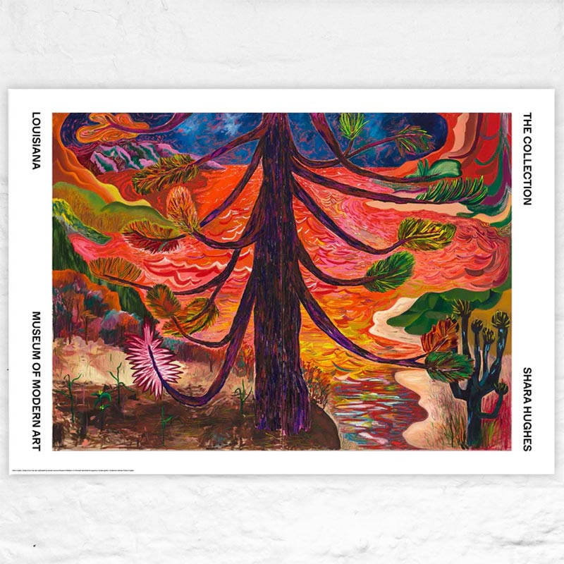 Collide poster by Shara Hughes