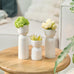 Rader Flower carrier - Lucia