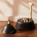 Lupita Dog Bowl - Black - des. Miriam Mirri for Alessi