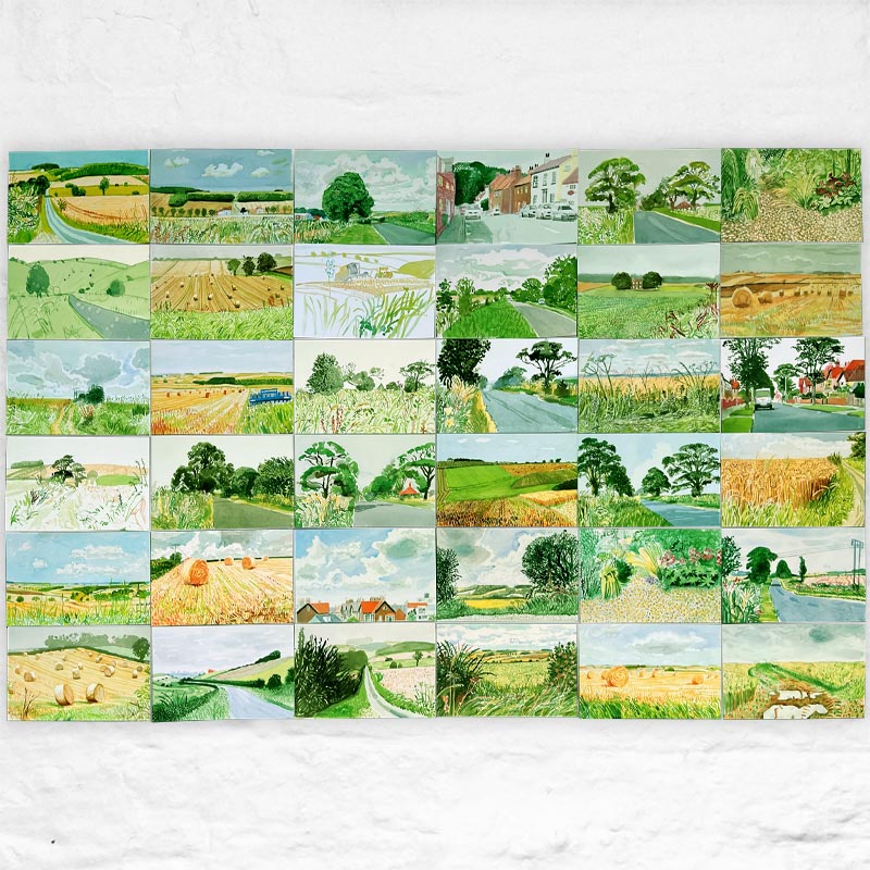 Midsummer: East Yorkshire - Complete Postcard Collection (36 cards) by David Hockney