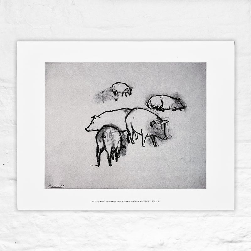 Pigs - by Pablo Picasso