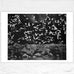 Birds / Vögel, 1964 print by Gerhard Richter - hand-numbered edition of 500.