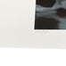 Birds / Vögel, 1964 print by Gerhard Richter - hand-numbered edition of 500.