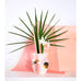 Siena Mini Paper Vase  - pink - by Octaevo