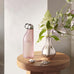 Sky Water Bottle - Rose - des. Aurelian Barbry for Georg Jensen