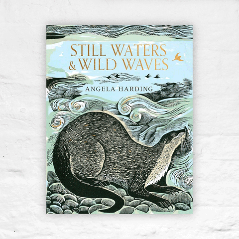 Still Waters & Wild Waves by Angela Harding (Signed Hardback)