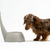 "Tail" Dog Bowl - Dove Grey - by United Pets