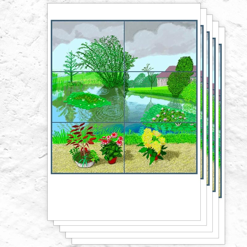 Water Lilies in the Pond with Pots of Flowers Greetings Cards by David Hockney - pack of 5