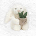 Cream Bunny with Plant - Jellycat