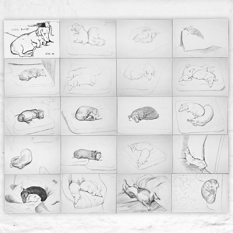 David Hockney Dachshund Drawings Postcard Collection ( 20 cards)