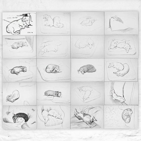 David Hockney Dachshund Drawings Postcard Collection ( 20 cards)