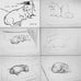 David Hockney Dachshund Drawings Postcard Collection ( 20 cards)