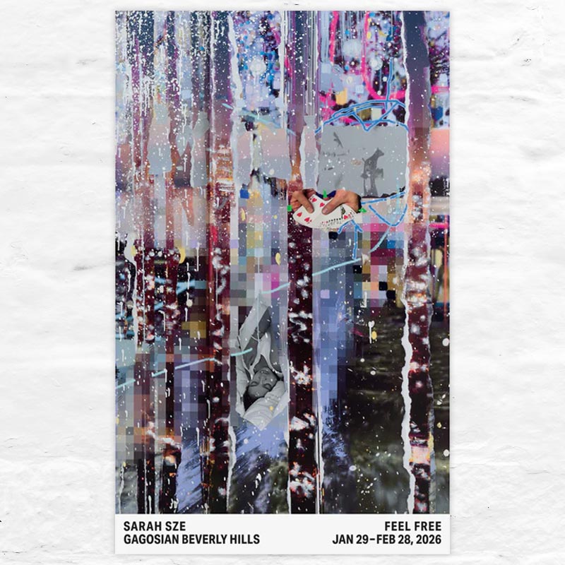 Feel Free poster by Sarah Sze