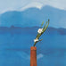 Mount Fuji and Flowers poster by David Hockney