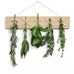 Criss Cross Herbs and Flowers Dryer - Ash - by Side by Side