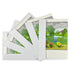Water Lilies in the Pond with Pots of Flowers Greetings Cards by David Hockney - pack of 5