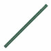 Penco Drafting Scale Ruler - Green - by Hightide