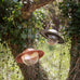 Saturn Bird Feeder, by Eva Solo