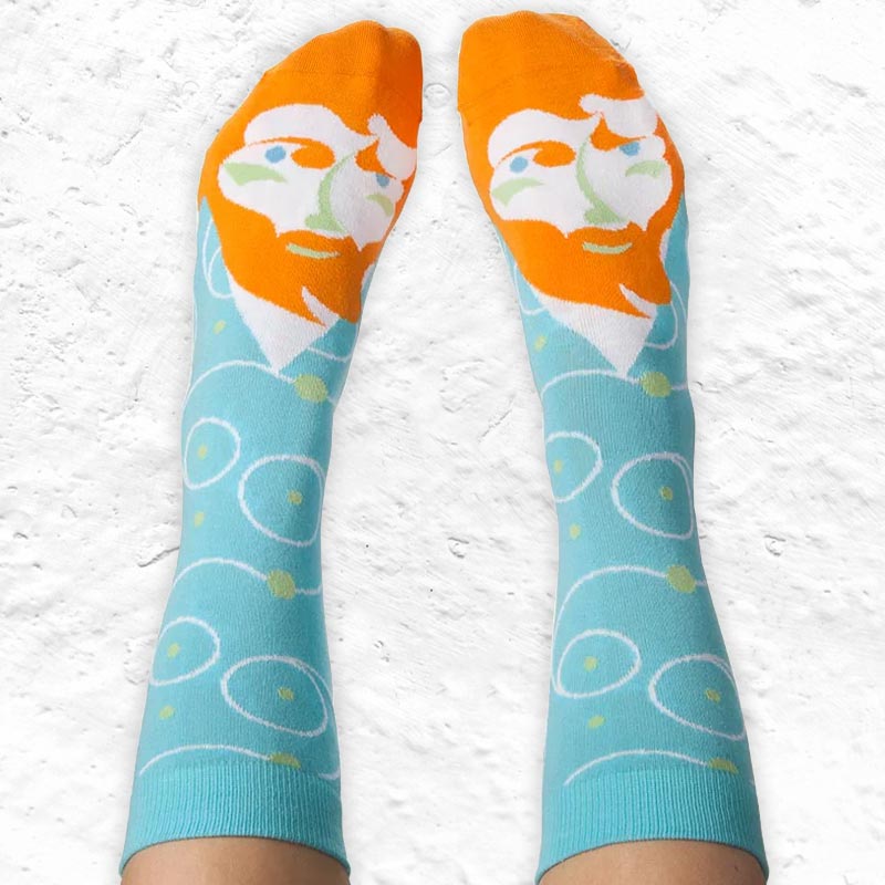 Vincent Van Toe Artist Socks