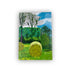David Hockney: A Year in Normandie A5 hardback journal (House & Hay Bales)