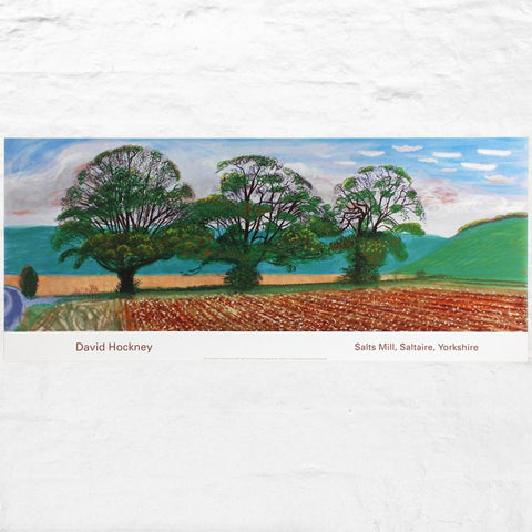 Autumn Trees Near Thixendale poster by David Hockney