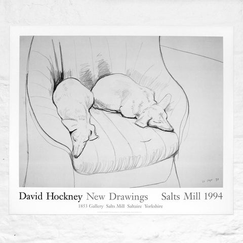 Black and White Dogs 1994 Exhibition Poster by David Hockney